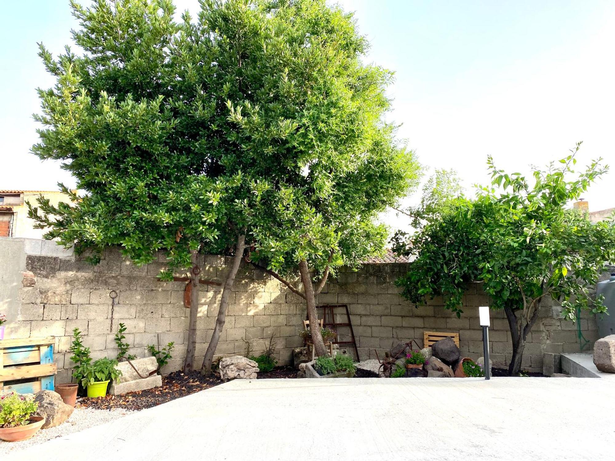 Casa Meli Apartment San Vero Milis ภายนอก รูปภาพ